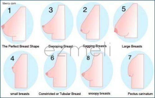 اشكال حلمة الثدي- حقائق ومعلومات عن جسم المراة اشكال حلمة الثدي حقائق ومعلومات عن جسم